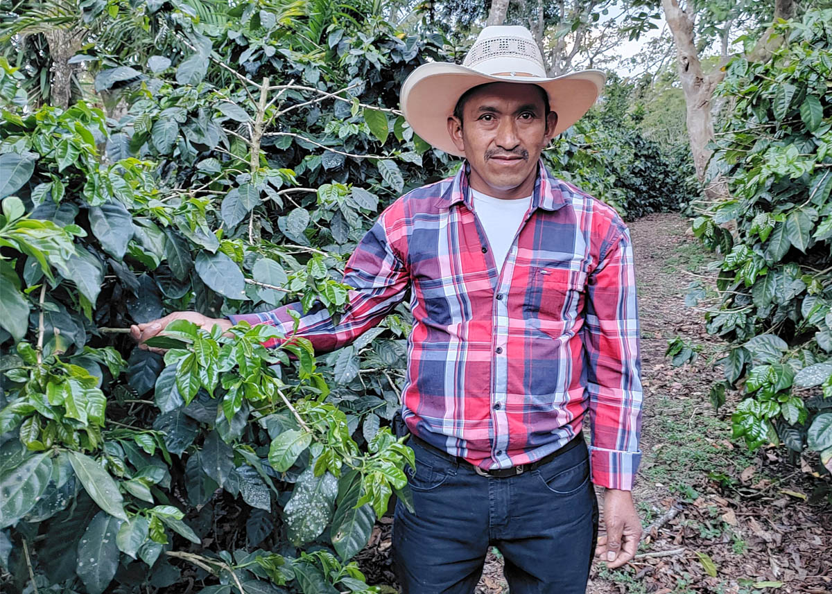 José Valerio Díaz: “I have doubled the productivity of my coffee  plantation” - MOCCA