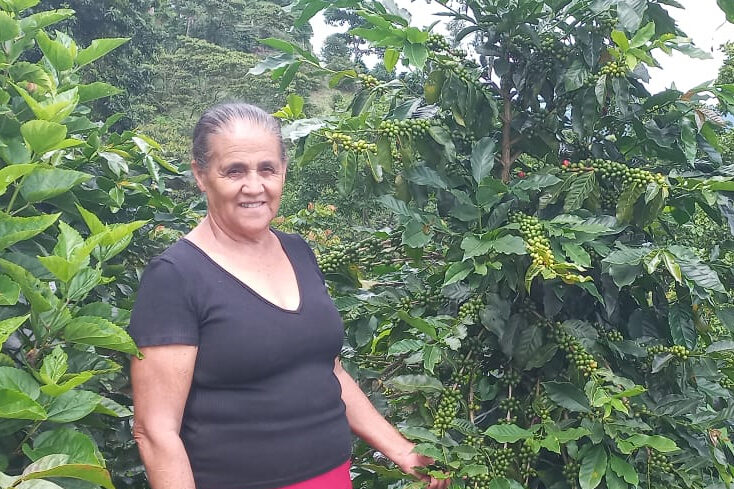 Delfa_Nicaragua